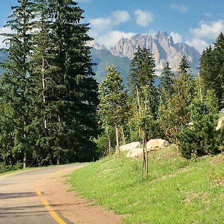 Garni Villa Elsa Pozza di Fassa Exterior foto